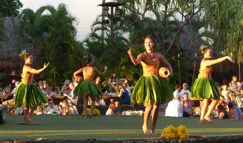 Illustration for article titled The $800 Camera I Didn't Use To Share My Hawaiian Vacation Photos